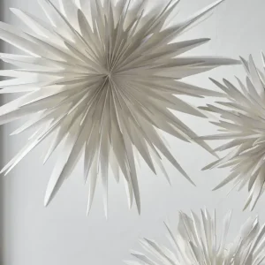 Star, Dust 70 cm
