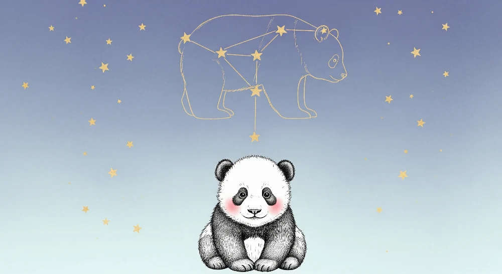 Tapet barnerom | Panda og stjernehimmelen
