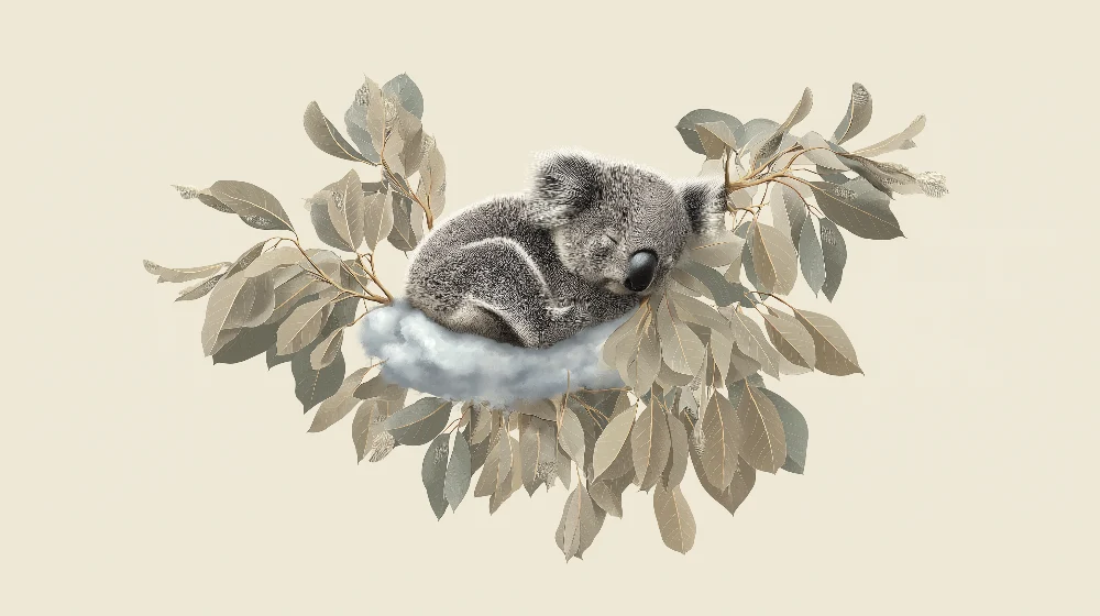 Tapet barnerom | Sovende koala på en sky av blader