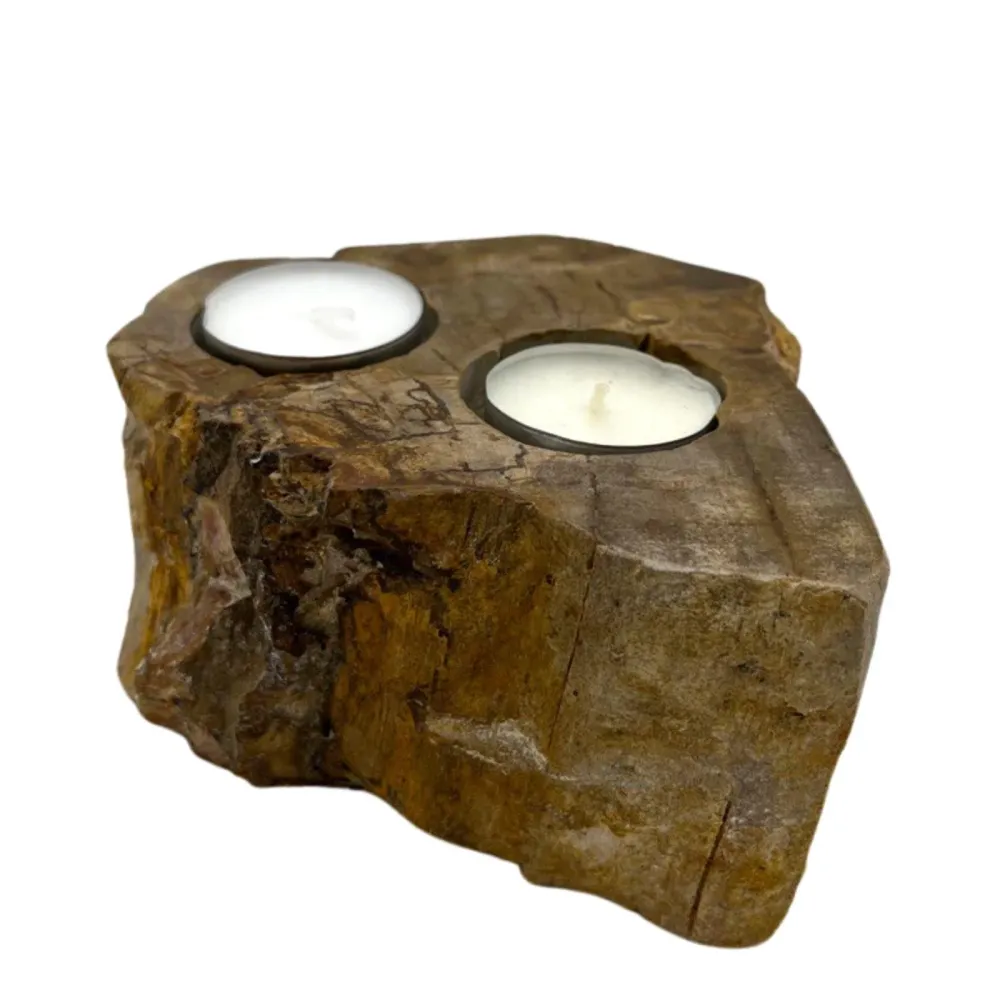 Telysholdere, forsteinet tre sett med 2