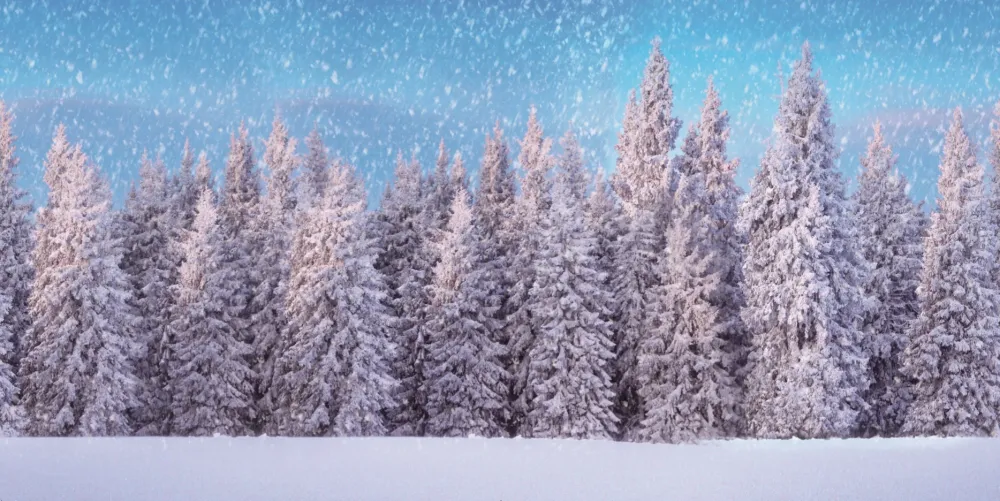 Bakgrunn til juleby - sko med snø