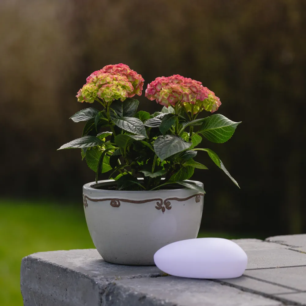 Lea LED-stein Ekstra Liten hvit