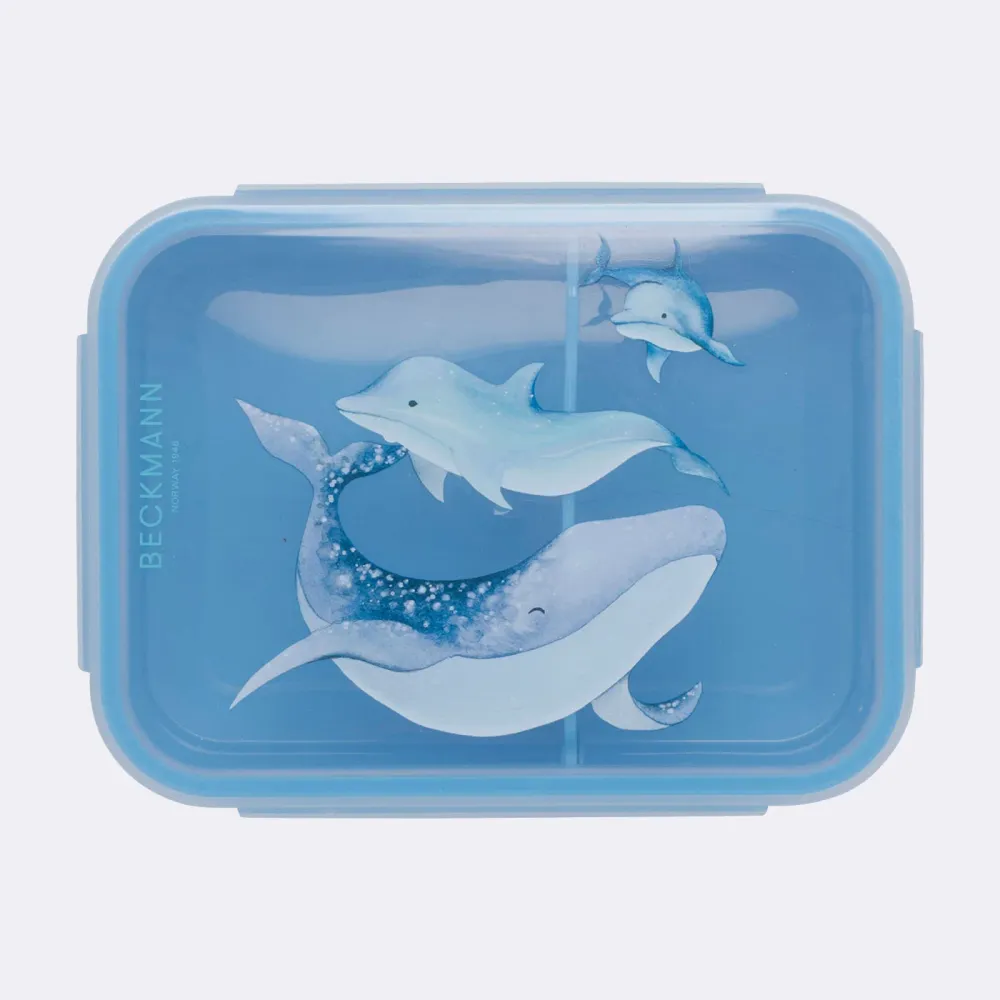 Matboks, Ocean