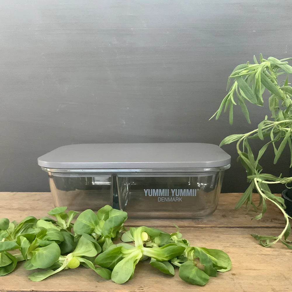 MEAL PREP PINECONE LARGE 2