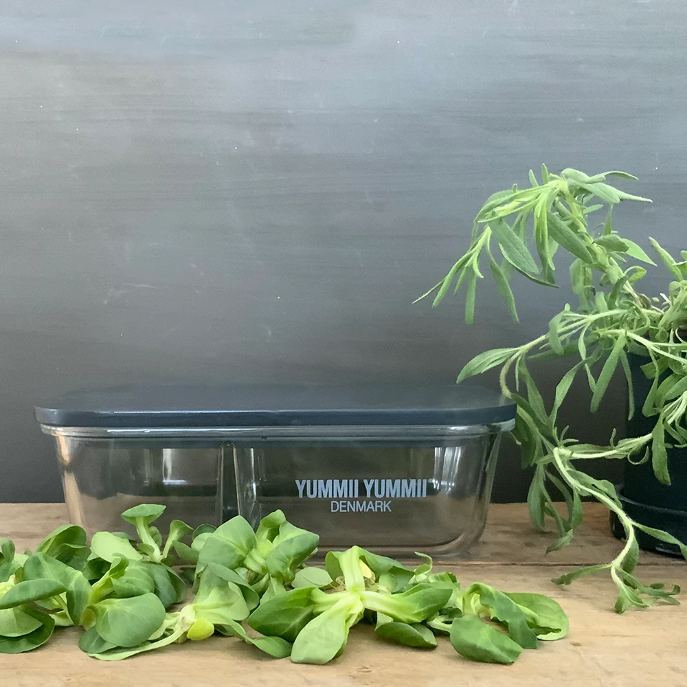 MEAL PREP STONE LARGE 2