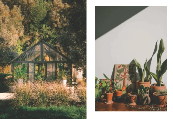 Boken Kinfolk Garden