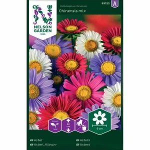 Asters Chinensis mix