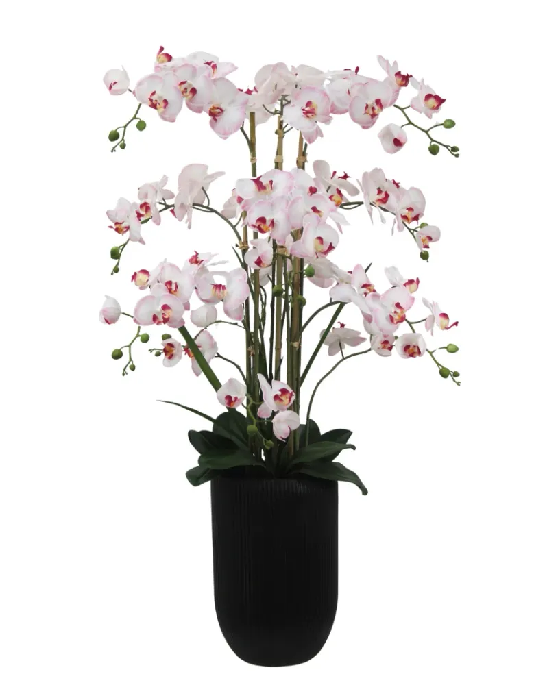 Eksklusiv Kunstig Orkidé Real Touch Rosa/Hvit 110cm