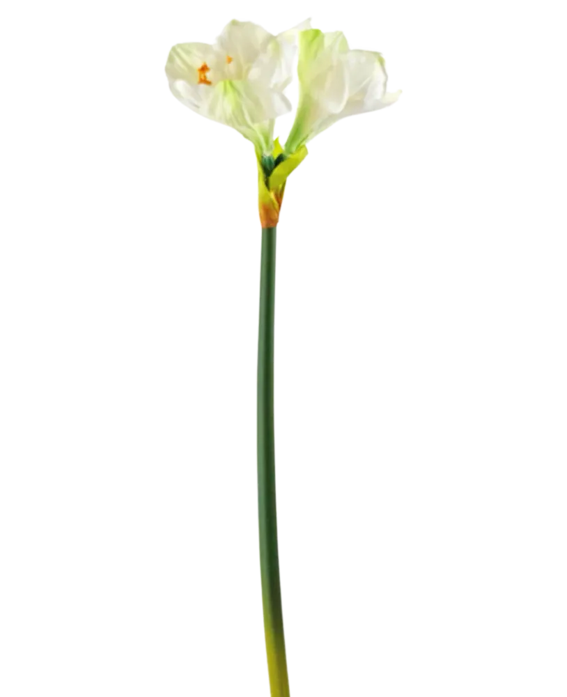 Kunstig Amaryllis Blomst Hvit 66cm
