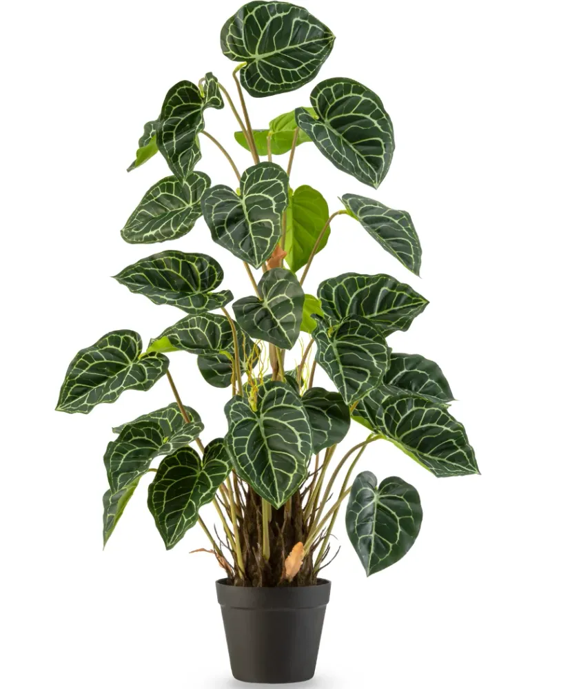 Kunstig Anthurium Grønn 90cm
