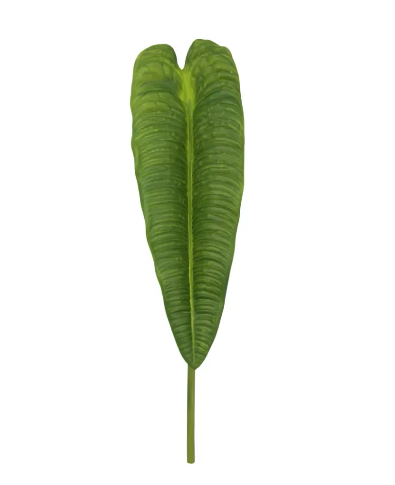 Kunstig Anthurium Veitchii Blad Grønn 86cm