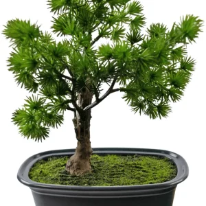 Kunstig Bonsai Einer 20 cm