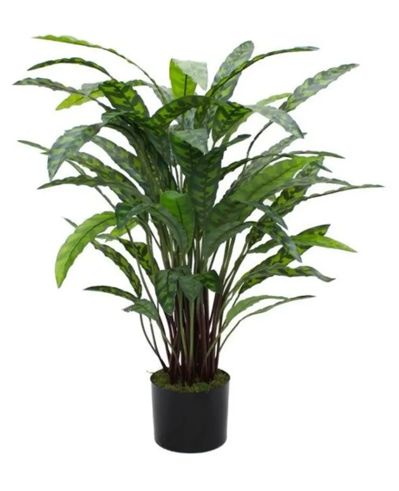 Kunstig Calathea Insigne 85 cm