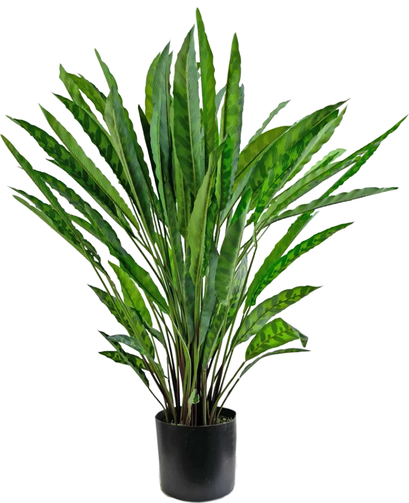 Kunstig Calathea Insigne 85 cm