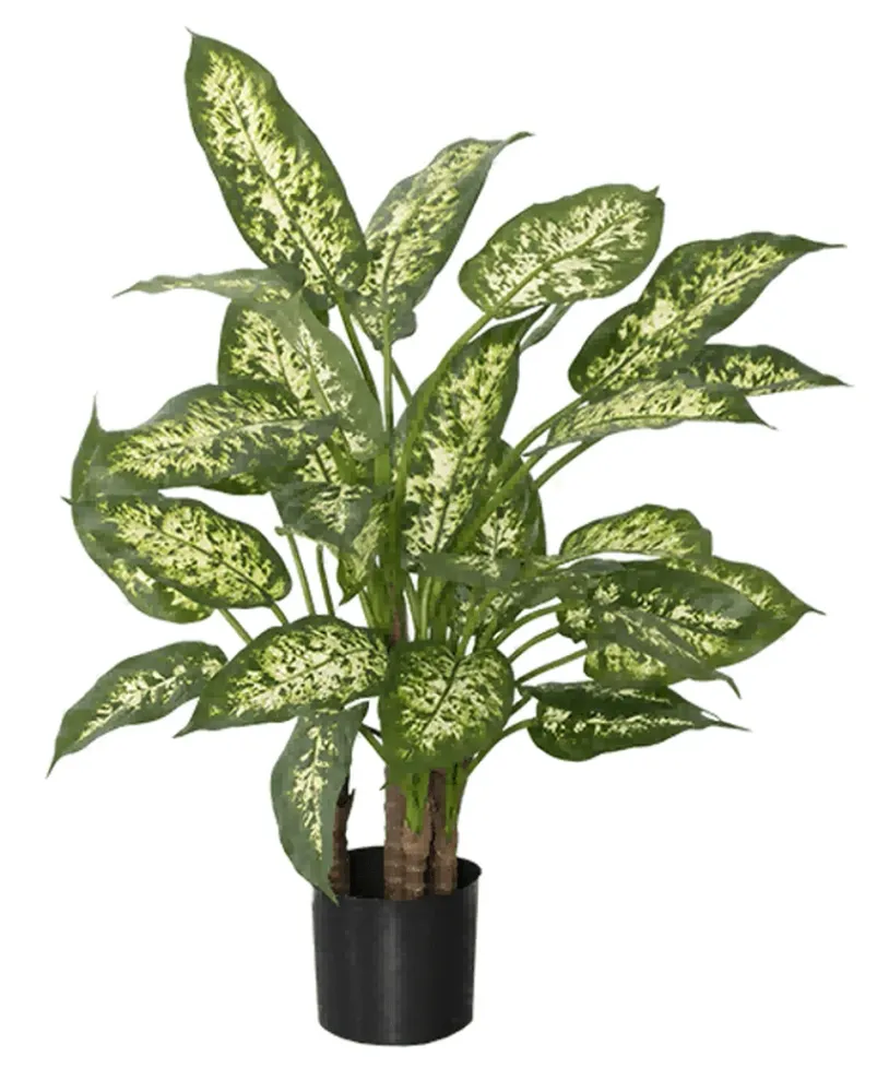 Kunstig Dieffenbachia Fyldig 70 cm