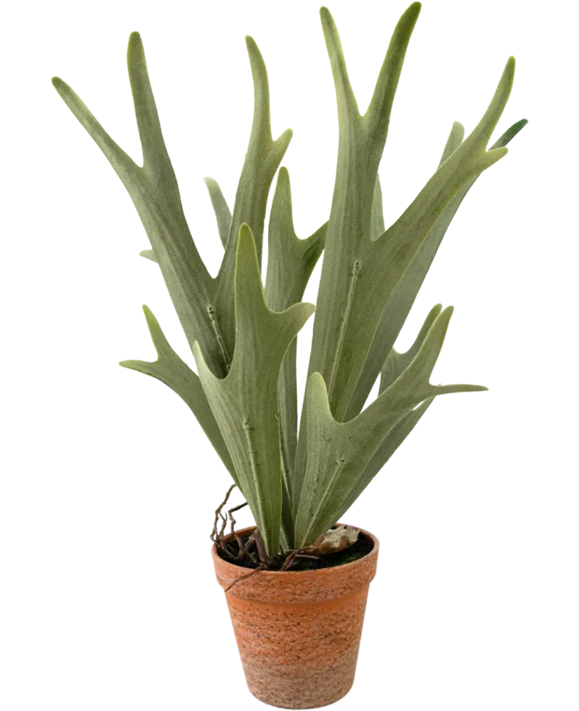 Kunstig Hjortebregne i Potte 43cm