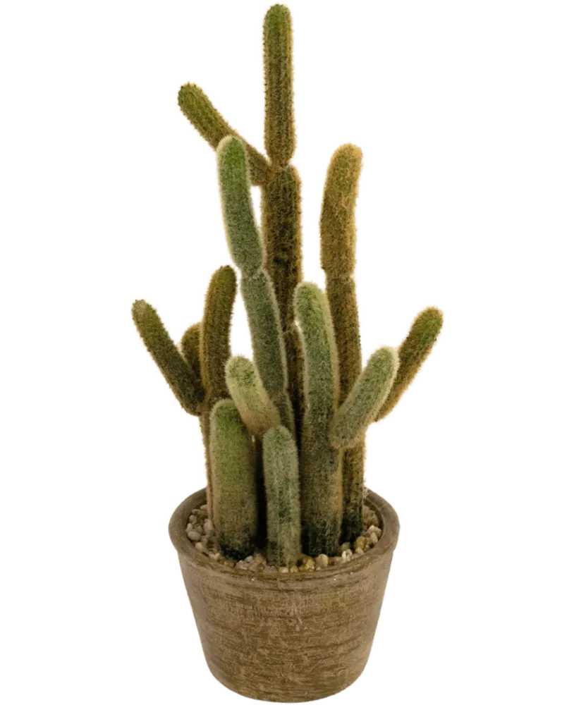 Kunstig Kaktus "Cereus" 35cm