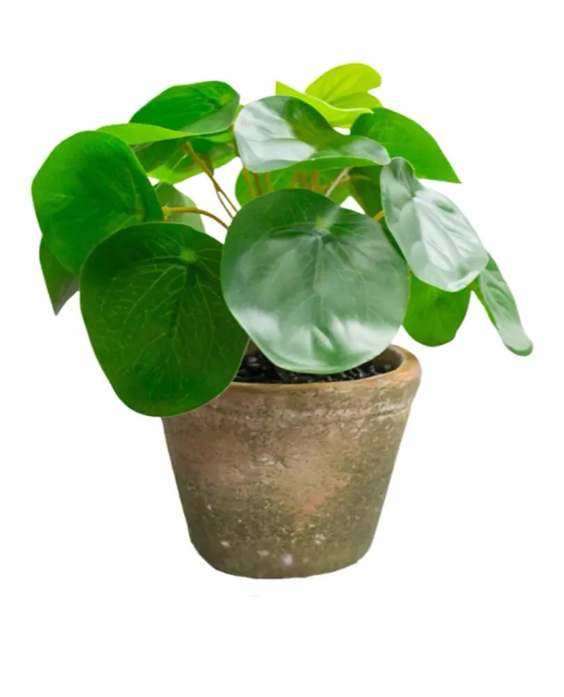 Kunstig Mini Pengeplante i Retropotte UV 15cm