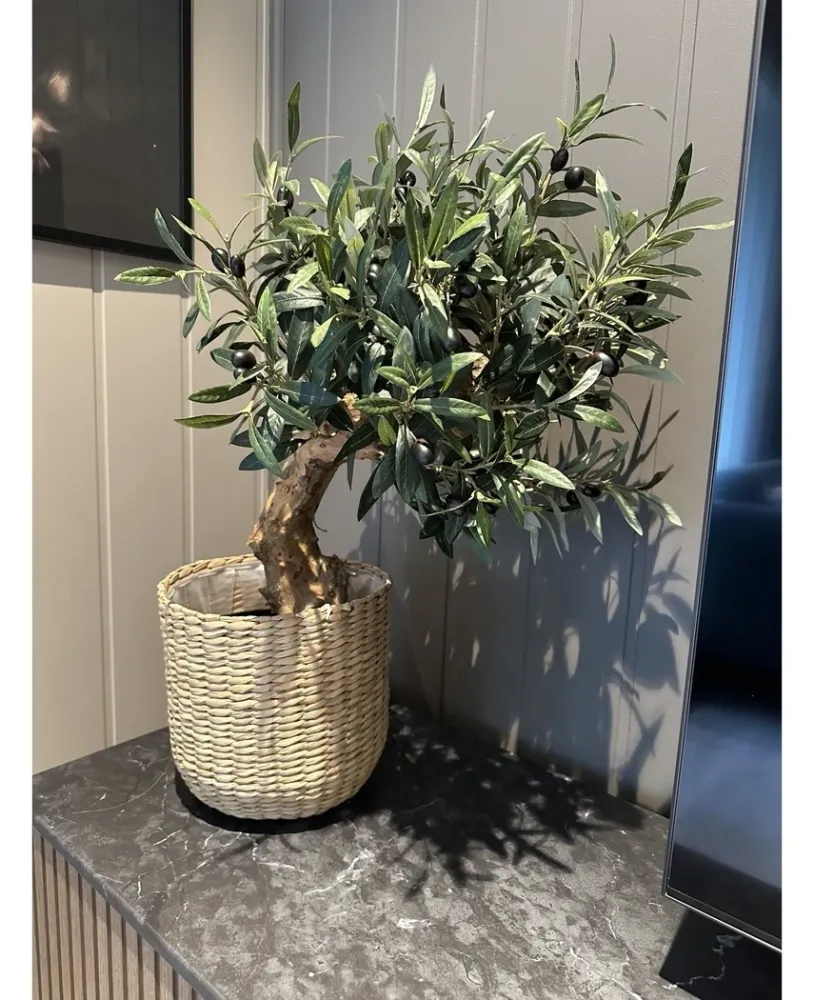 Kunstig Oliventre m/Oliven UV 60 cm