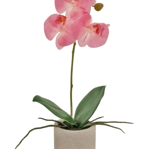 Kunstig Orkidé Real Touch Mini Rosa 30cm