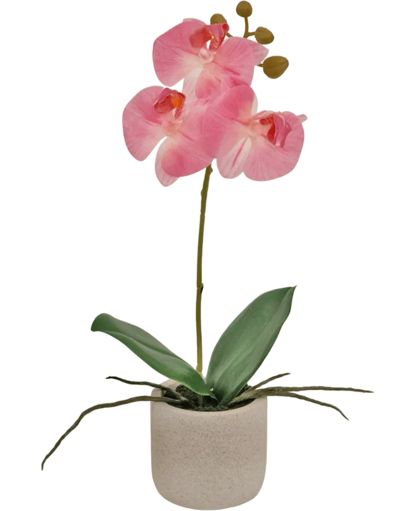 Kunstig Orkidé Real Touch Mini Rosa 30cm