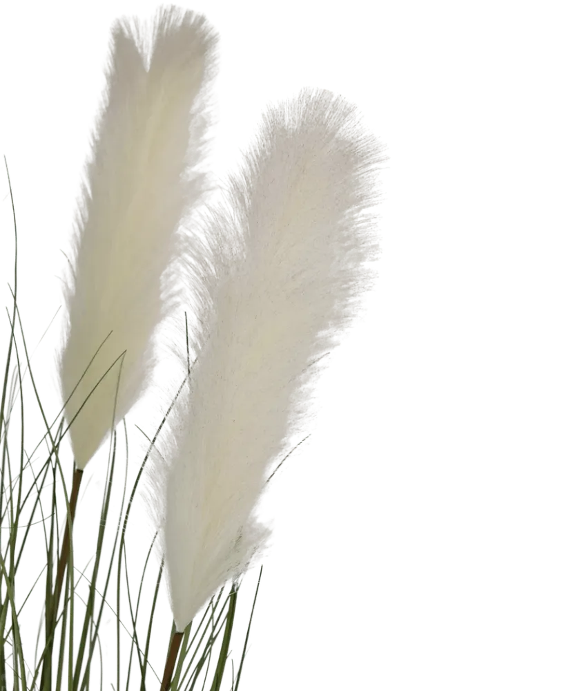 Kunstig Pampas Gress Hvit 120cm