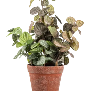 Kunstig Peperomia 35 cm