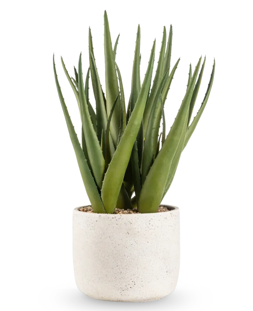 Kunstig Plante Aloe Vera 43 cm