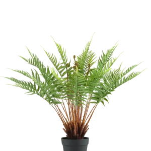 Kunstig Plante Bregne 66 cm