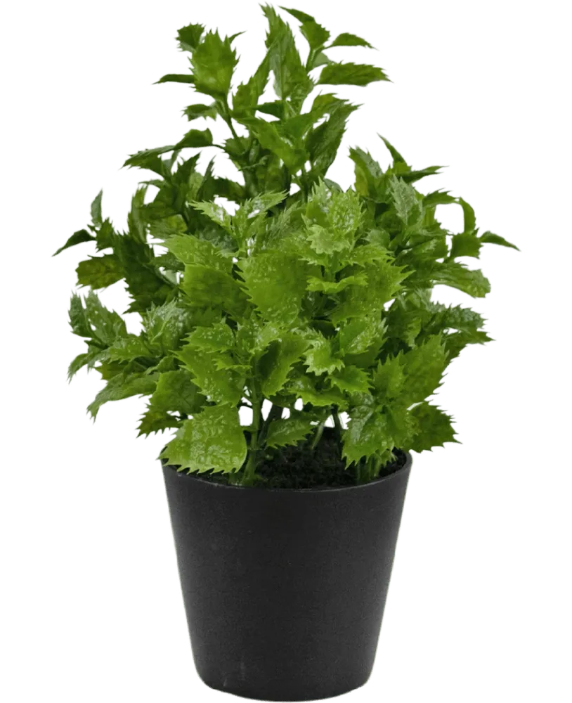 Kunstig Plante Perilla 25cm