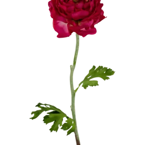 Kunstig Ranunculus Burgunder 51 cm