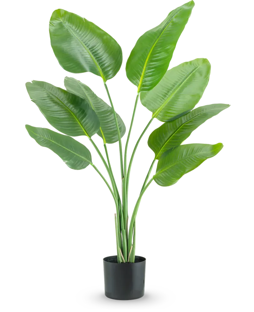 Kunstig Strelitzia Real Touch 120cm