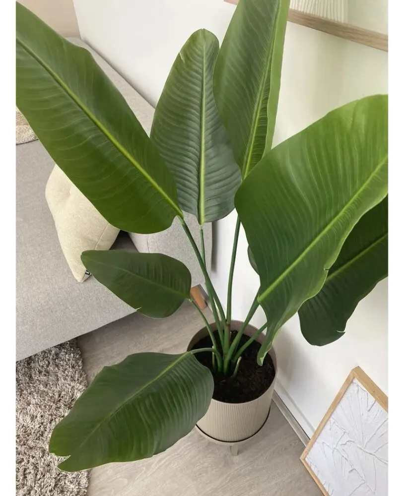 Kunstig Strelitzia Real Touch 120cm