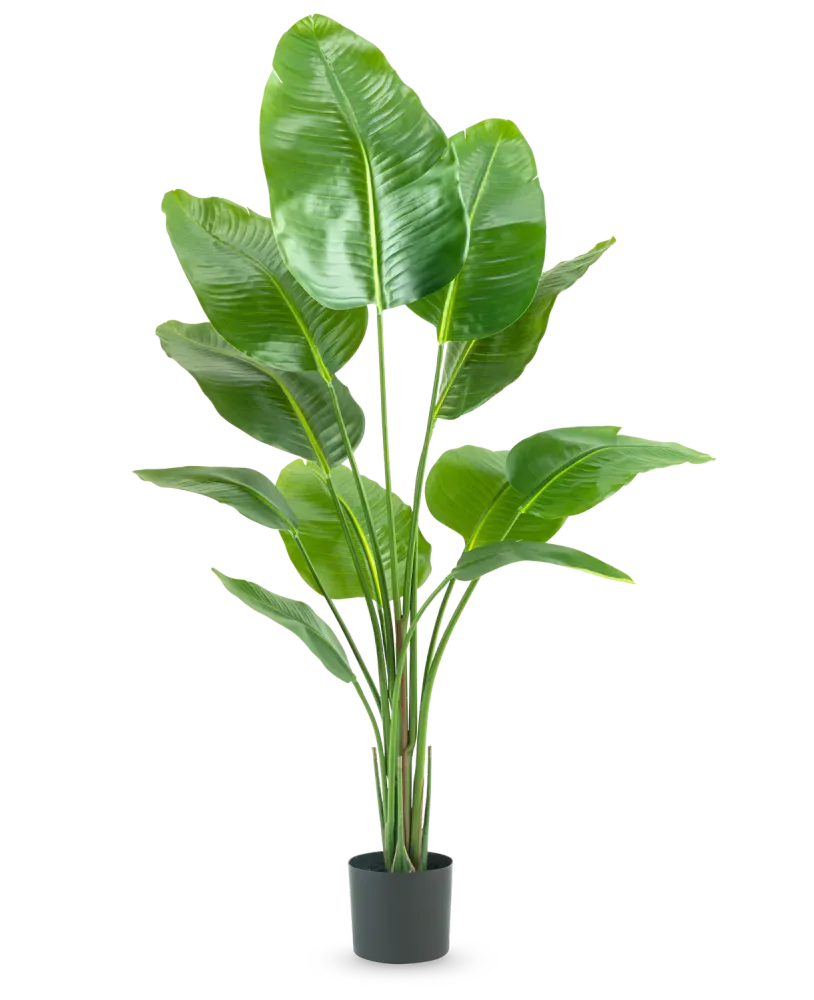Kunstig Strelitzia Real Touch 150 cm