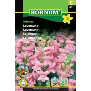 Frø Løvemunn Winner