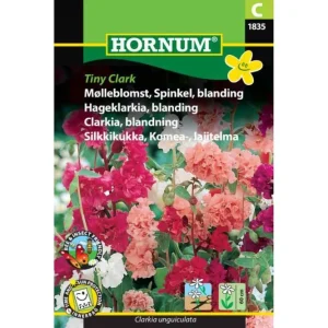 Mølleblomst, blanding Tiny Clark