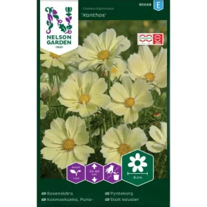 Pyntekorg (Cosmos), Xanthos