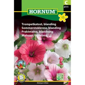 Trompekatost, blanding