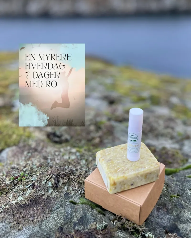 Hverdagsro – En liten pause