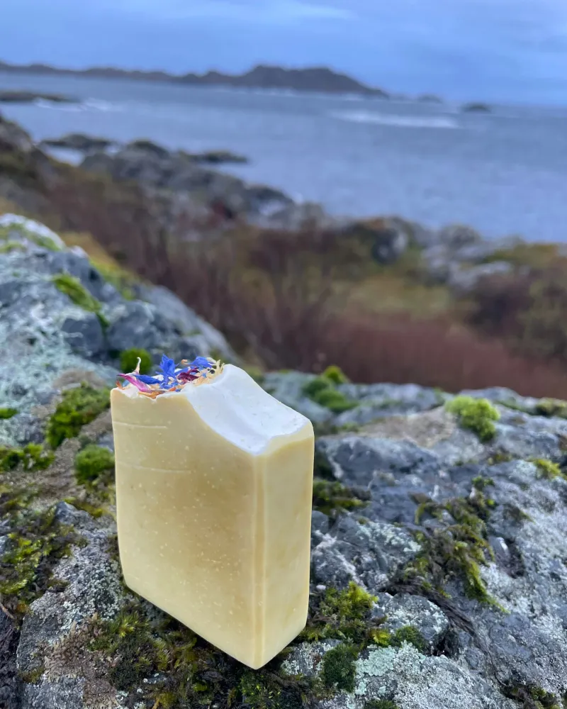 Hverdagsro – En liten pause