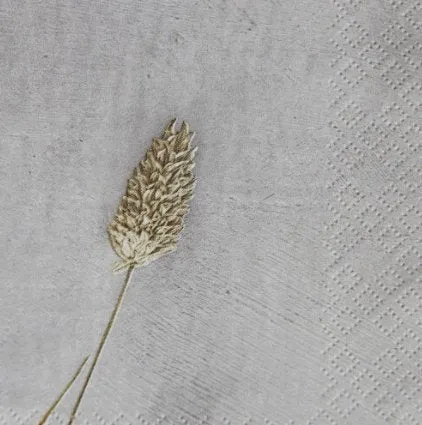 Servietter, Grass 2, Lysegrå