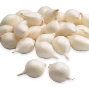 Setteløk Snowball