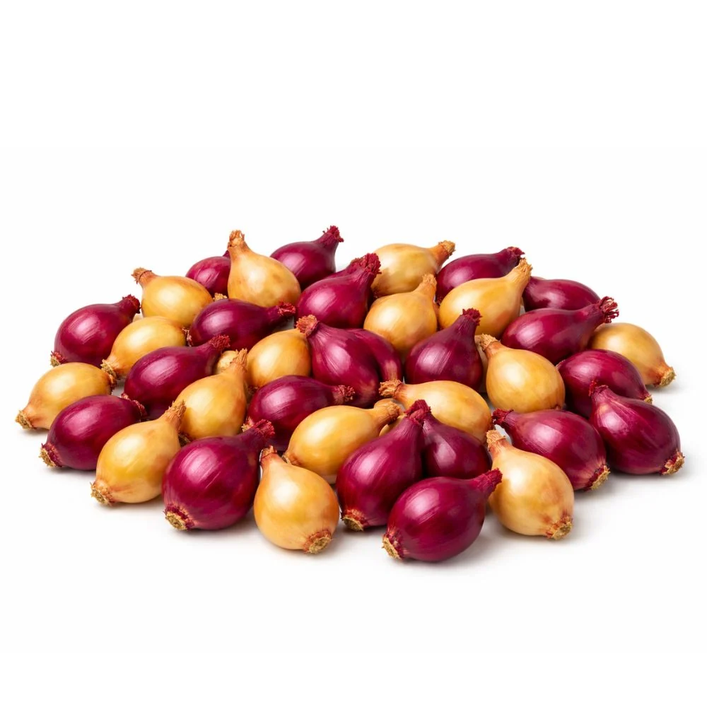 Setteløk Varmebehandlet Mix 1 kg – Gul og rød løk