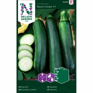 Squash Black Forest F1
