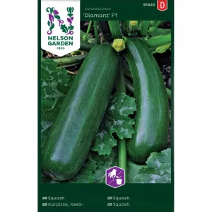 Squash Diamant F1