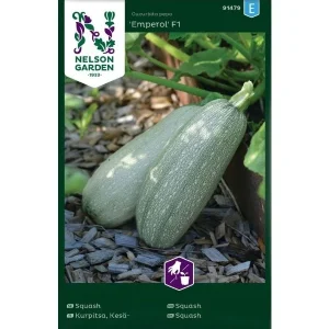 Squash Emperol F1