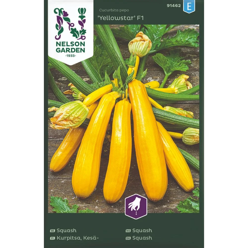 Squash ‘Yellowstar’ F1 – Gul squash med høy avling og mild, god smak