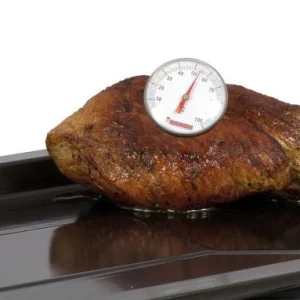 Pocket Termometer
