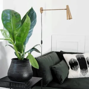 Vegglampe, Precise, Messing