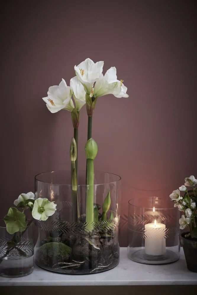 Carla vase H30 cm. transparent